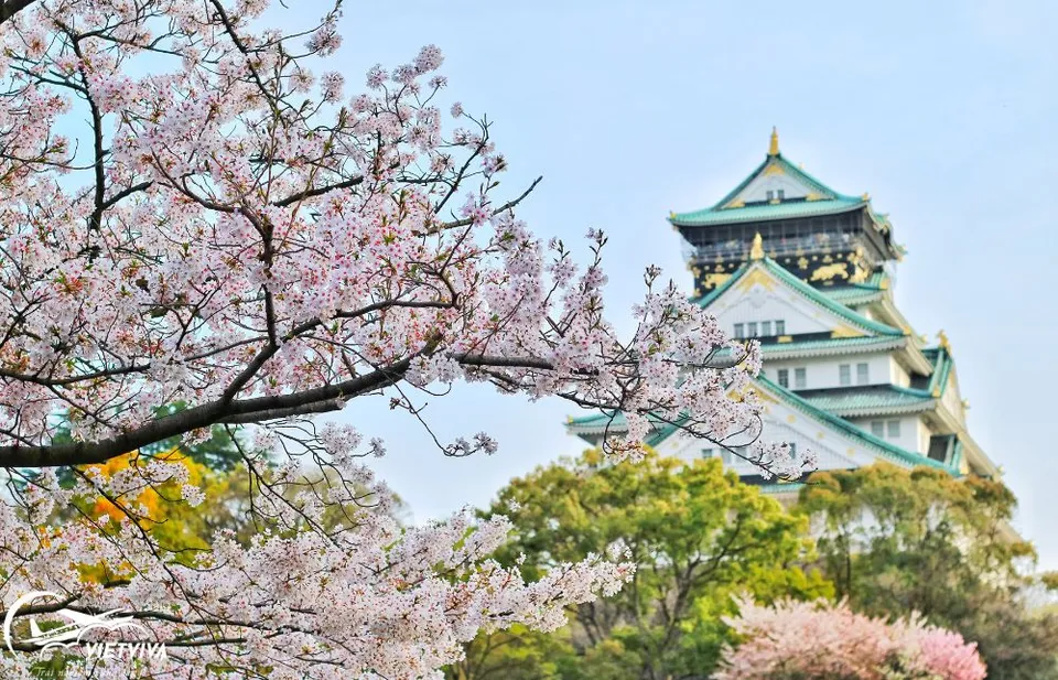 LÂU ĐÀI OSAKA - NHẬT BẢN