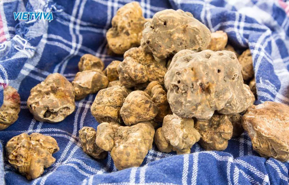 du lịch Châu Âu tháng 10