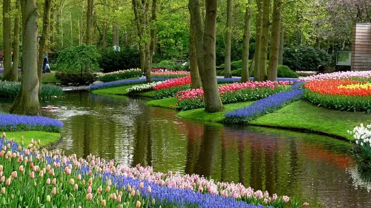 Khám phá công viên Keukenhof lãng mạn với 800 chủng loại tulip khác nhau