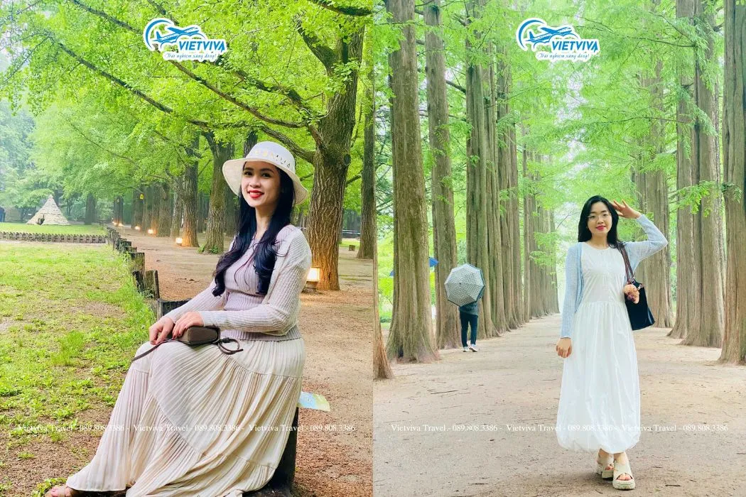 Đoàn du lịch Hàn Quốc (15/5/2025), ảnh 5/6
