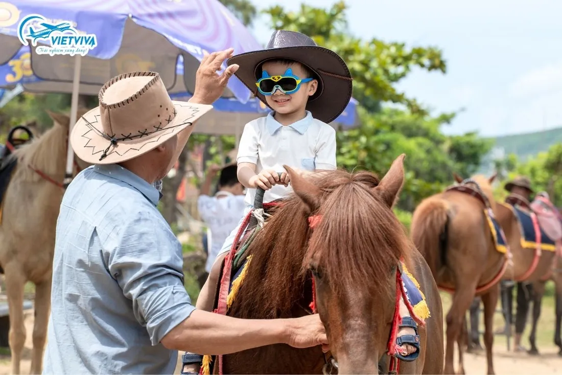 Đoàn du lịch khám phá Quy Nhơn (tháng 5.2026), ảnh 11/14