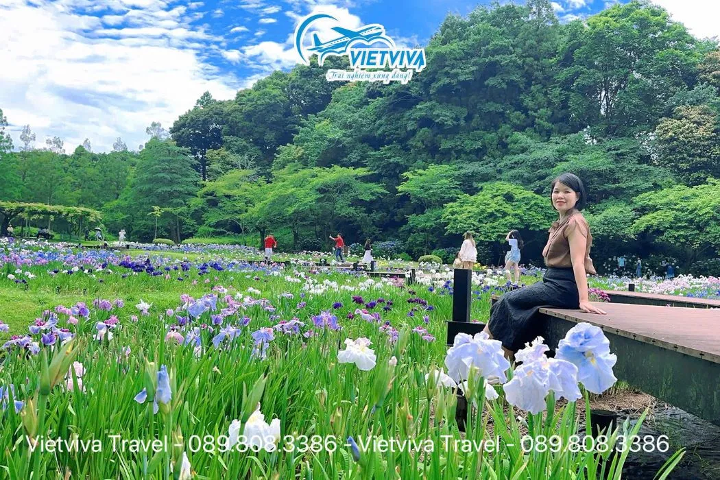 Đoàn du lịch Nhật Bản: Osaka – Kyoto – Nagoya – Fuji – Tokyo (09/06 – 14/06/2025), ảnh 7/11
