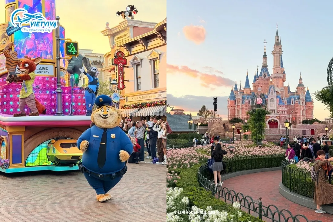 Đoàn du lịch Thượng Hải – Disneyland – Hàng Châu – Ô Trấn (tháng 6.2026), ảnh 7/7