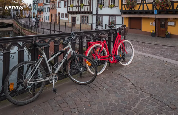 Khám phá Colmar bằng xe đạp là một sự lựa chọn không tồi