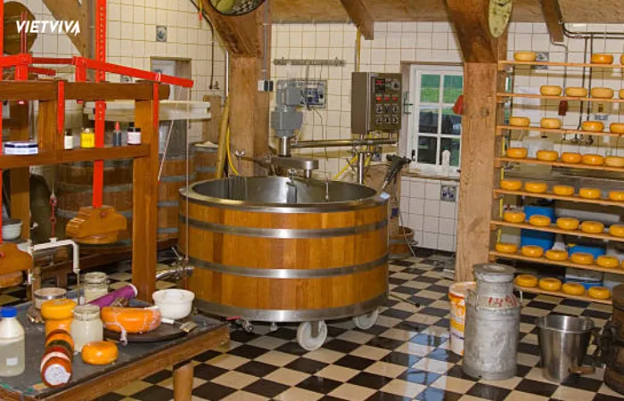 Nhà máy chế biến pho mát tại Zaanse Schans