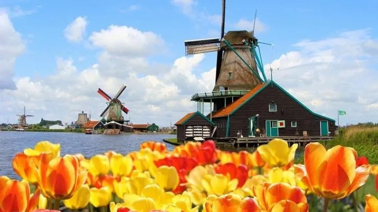 Khám phá chuyến du lịch Hà Lan ưu đãi cùng Vietviva Travel