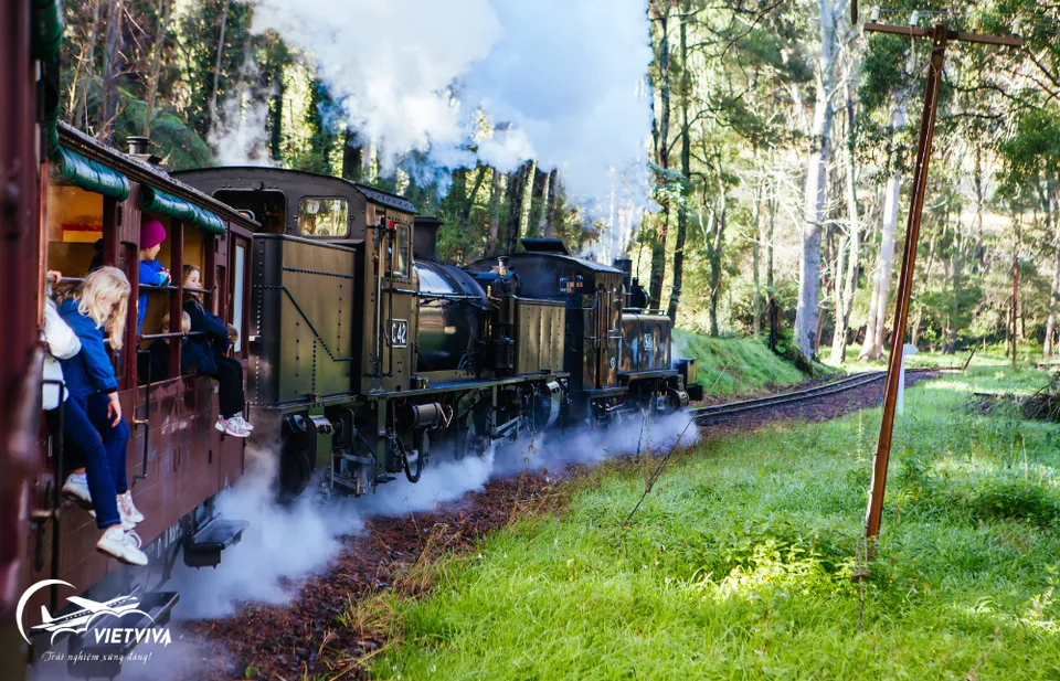 XE LỬA HƠI NƯỚC PUFFING BILLY - MELBOURNE