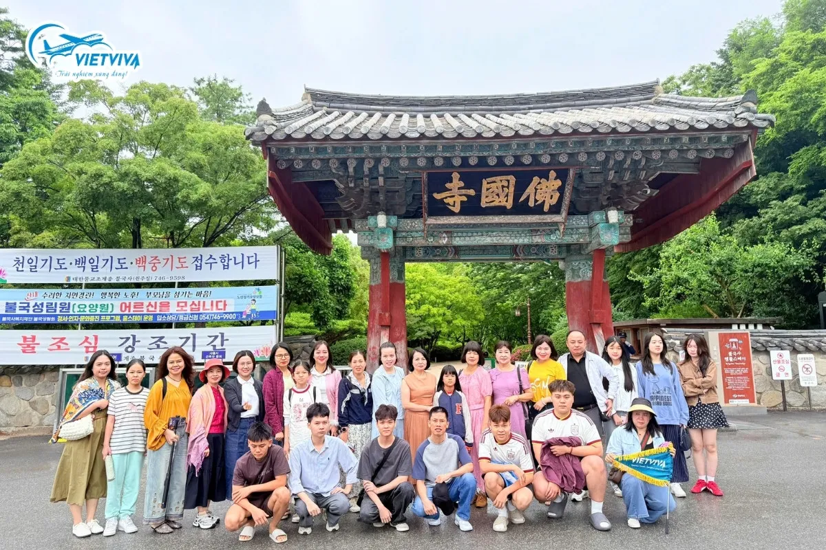 Ảnh đoàn Seoul – Gyeongju – Busan của Vietviva, tháng 6/2026